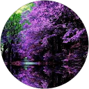 Jeniro jenson Aj profile picture